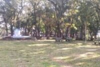 Taman Remaja Tak Pernah Tua